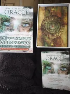 聖なる鏡 : アレックス・グレイの幻視的芸術 日本語 - メルカリ