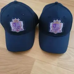 レジーナキャップ 2個セット