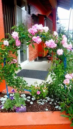 TONTON様 リクエスト 2点 まとめ商品