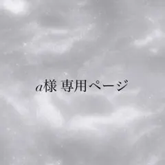 a様 専用ページ