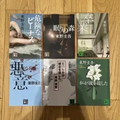 東野圭吾　6冊セット