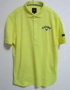 Item thumbnail for item 0f771d41-3ed6-4311-96d7-114912c63727