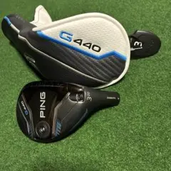 ⭐️新品 国内正規品 ピンG440MAX 5W 19° ヘッド単品 純正HC付 - メルカリ