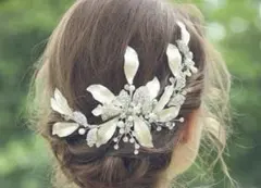 Item thumbnail for item 93de85ff-0053-4543-898b-4c784c29678a