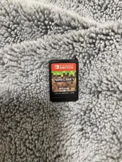 Minecraft Nintendo Switch ソフト