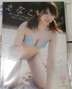 Item thumbnail for item bdf4837f-bbc6-469b-b160-c5b0921de1b1