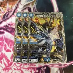 飛翔龍 5000VT 銀トレジャー 3枚