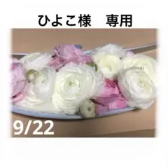 ひよこ様　専用