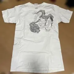 Harley-Davidson フレイムデザイン Tシャツ S