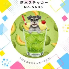 【送料無料❣️】ミニチュアシュナウザー防水ステッカー メロンソーダ