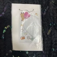 RIIZE ソンチャン ランダムトイ　フォトスリーブ ラントイ