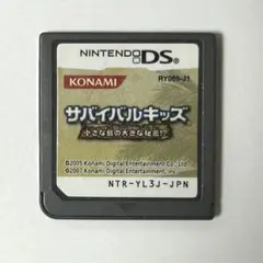 サバイバルキッズ 小さな島の大きな秘密!? DS