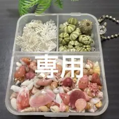 ✴︎香りの巫女saki様専用✴︎