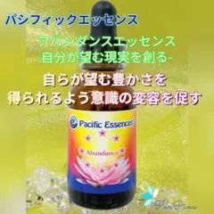 2026年最新】アバンダンスプログラムの人気アイテム - メルカリ