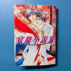 官能小説家 藤崎都 角川ルビー文庫 BL小説
