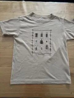 モンベル　mont-bell 昆虫Tシャツ140 ベージュ