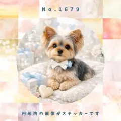 【送料無料】防水ステッカー　ヨークシャーテリア　ホワイトデー　No.1679