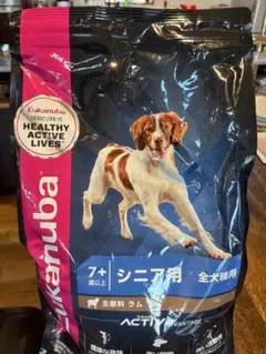 Item thumbnail for item e4f8b43a-2150-42ae-9794-e46237862d50