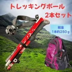 Item thumbnail for item b0db9122-f271-44c8-8a87-8210cd08f30e