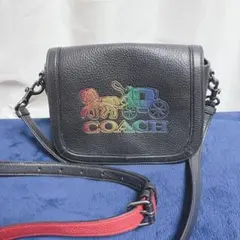 コーチ レインボー ホースロゴ レザーボディバッグ ショルダーバッグ