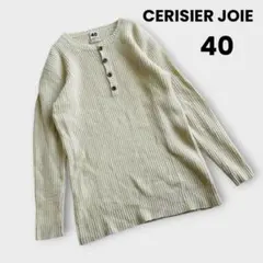 CERISIER JOIE y2k L アンゴラ　ヘンリーネック　ニットセーター