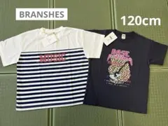 新品 2枚セット 半袖Tシャツ 120 男の子 学校 洗い替え ブランシェス