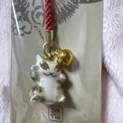 猫のダヤン　陶器　寝付け　わちぃふーるど　新品未使用