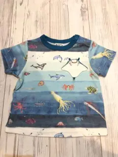 BIT'Zビッツ　海の深さボーダー柄＆海の動物Tシャツ　ターコイズブルー90cmのサムネイル