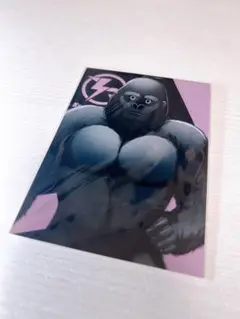 KNR ブロマイド バーチャルゴリラ