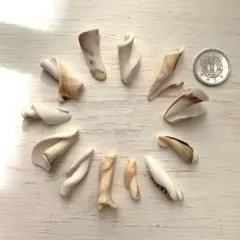 Item thumbnail for item b6c4572f-bc40-42e5-838b-979c5ddcc820