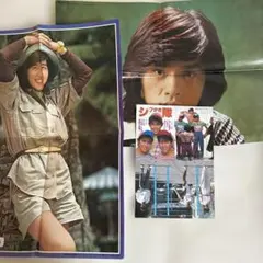 桜田淳子、西城秀樹、シブがき隊、野口吾郎 昭和アイドルポスター　バラ売り可
