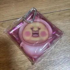 こびとづかん　マルチケース　カクレモモジリ