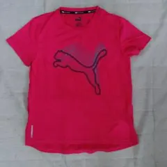 プーマ Tシャツ レディース Mのサムネイル