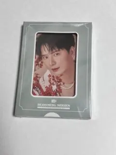 GMMTV Krist Blooming Series PhotocardSet