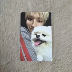 BOYNEXTDOOR HOME weverse global トレカ リウ