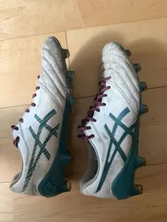 アシックスサッカースパイク DS LIGHT X-FLY 5