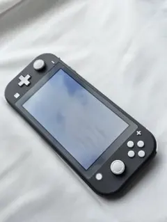 Nintendo Switch Lite 本体 グレー