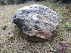 新潟県三大奇石 八海石 23kg | Mercari