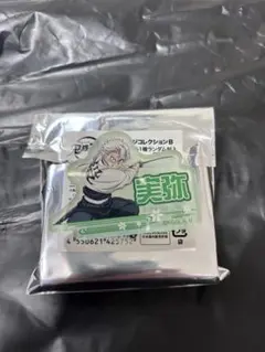 鬼滅の刃 お名前バッジコレクション