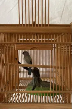 2026年最新】竹 鳥籠の人気アイテム - メルカリ