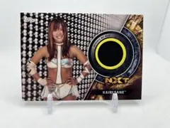 Item thumbnail for item 40db89bd-ce47-4c15-bb31-93f83e36343d