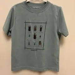 mont-bell 昆虫プリント Tシャツ 120