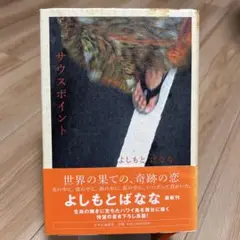 よしもとばなな著　サウスポイント　初版