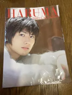 三浦春馬　カレンダー　2011年　開封済 三浦春馬 カレンダー 2011年 開封済 三浦春馬 カレンダー 2011年