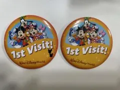 WDW フロリダウォルトディズニーワールド　缶バッチ