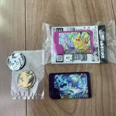 ポケモン‼️フレンダ‼️テラパゴス‼️ピカチュウ
