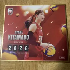 バレーボール日本代表 北窓絢音 2026 mini色紙 - メルカリ