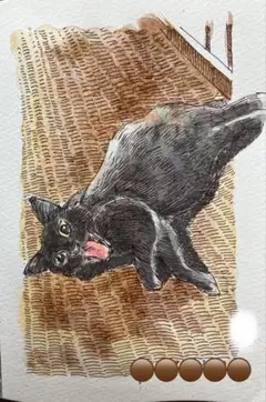 黒猫さん　たたみでゴロゴロ　イラスト　 ハガキ大