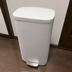 KEYUCA ゴミ箱 30L kant ダストボックスⅡ ホワイトのサムネイル