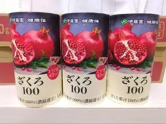 未開封 伊藤園 ざくろ100 160g×30本 濃縮還元 賞味期限2026.01 - メルカリ
